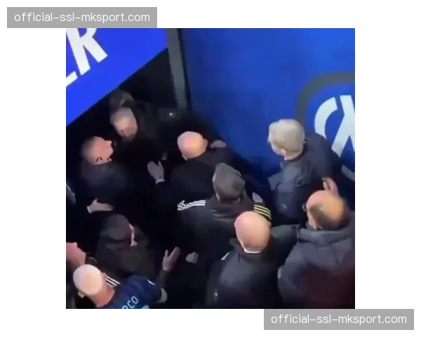 警方通报:成功挫败一起针对德甲裁判组的网络恐吓计划 警方通报:成功挫败一起针对德甲裁判组的网络恐吓计划