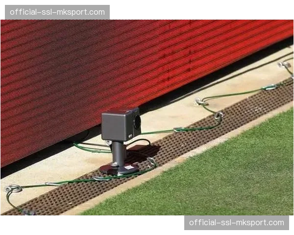 全英赛“鹰眼”系统短暂故障，裁判长启用即时回放裁定关键分